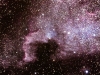 NGC7000 – Észak-Amerika köd (2013.09.07. 23:41 Ágasvár, Celestron EQ-5 mechanika, 80/480 Meade apokromát, Canon EOS 40D, 8×5 min manuálisan vezetve, ISO800, feldolgozás: DeepSky Stacker, Photoshop)